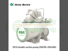 Hocheffiziente Dfss-Doppelsaug-Industrielle Boosterpumpe