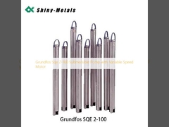 Grundfos Sqe 2-100 Unterwasserpumpe mit Motor mit variabler Drehzahl