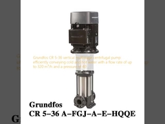 Grundfos CR 5-36 vertikale mehrstufige Zentrifugalpumpe, die kaltes und heißes Wasser mit einer Durchflussrate von bis zu 320 m3/h und einem Druck von 40