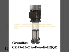 Grundfos CR 45-13-2 Vertikale Wasserentwässerung Industrie Pipeline System Zirkulations-Booster-Kreiselpumpe Hochdruckpumpe